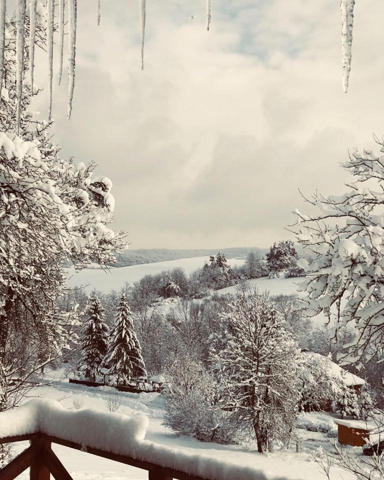 Maciejewka Villa Zahoczewie Bagian luar foto