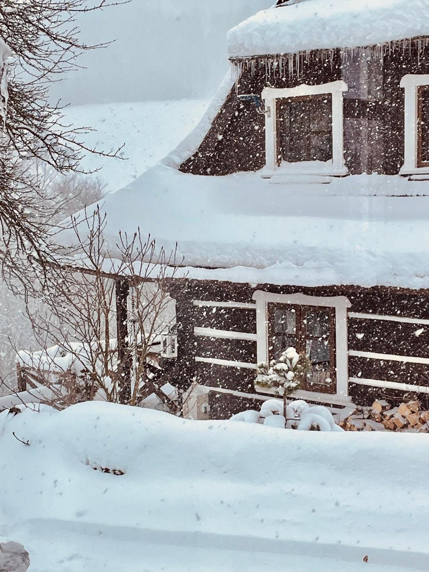 Maciejewka Villa Zahoczewie Bagian luar foto