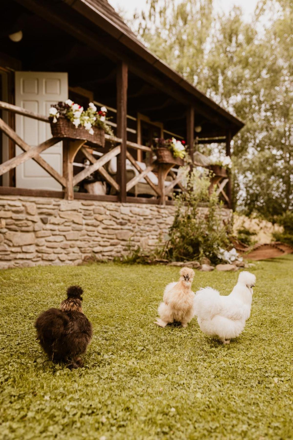 Maciejewka Villa Zahoczewie Bagian luar foto