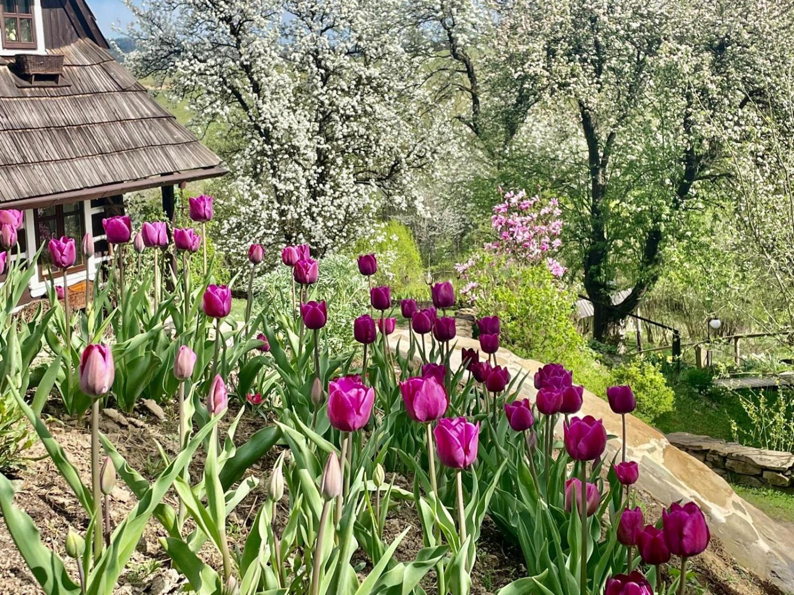 Maciejewka Villa Zahoczewie Bagian luar foto
